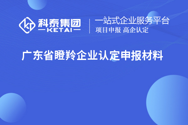 廣東省<a href=http://www.356407.com/fuwu/dengling.html target=_blank class=infotextkey>瞪羚企業(yè)認(rèn)定</a>申報(bào)材料