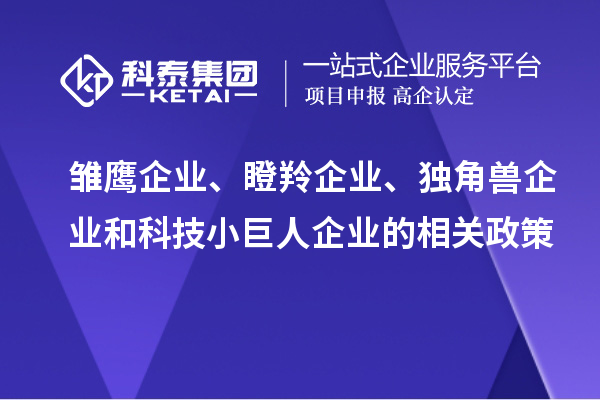 雛鷹企業(yè)、瞪羚企業(yè)、獨(dú)角獸企業(yè)和科技小巨人企業(yè)的相關(guān)政策