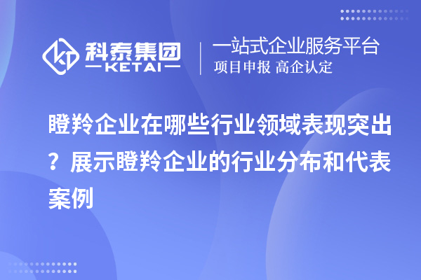 瞪羚企業(yè)在哪些行業(yè)領(lǐng)域表現(xiàn)突出？展示瞪羚企業(yè)的行業(yè)分布和代表案例