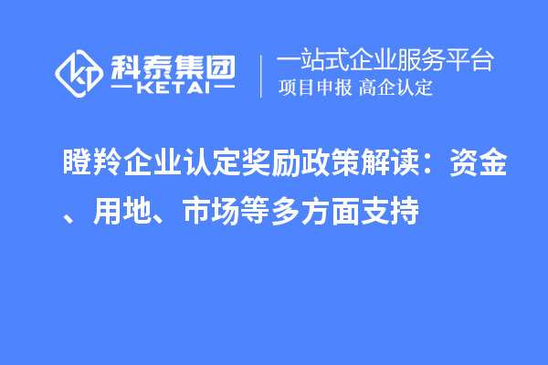 <a href=http://www.356407.com/fuwu/dengling.html target=_blank class=infotextkey>瞪羚企業(yè)認(rèn)定</a>獎(jiǎng)勵(lì)政策解讀：資金、用地、市場等多方面支持