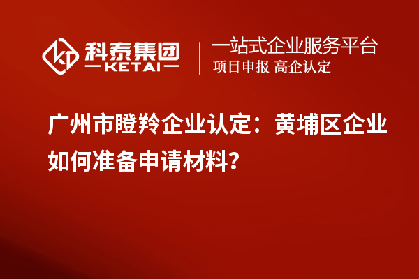 廣州市瞪羚企業(yè)認定：黃埔區(qū)企業(yè)如何準備申請材料？