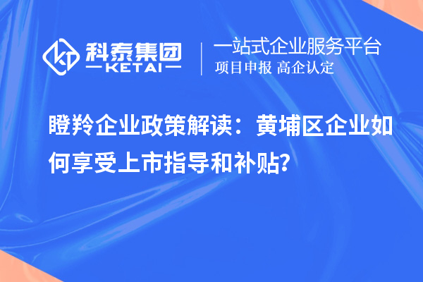 瞪羚企業(yè)政策解讀：黃埔區(qū)企業(yè)如何享受上市指導和補貼？