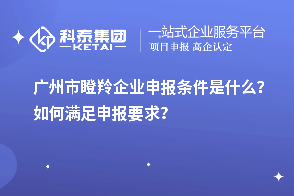 廣州市瞪羚企業(yè)申報條件是什么？如何滿足申報要求？