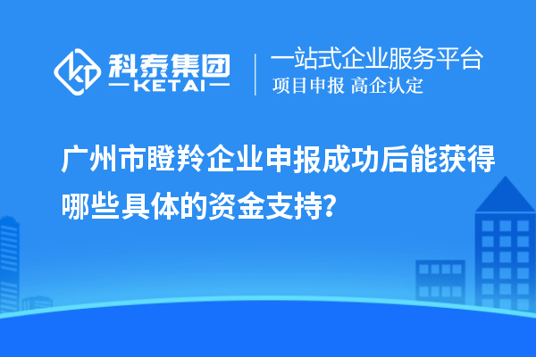廣州市瞪羚企業(yè)申報成功后能獲得哪些具體的資金支持？