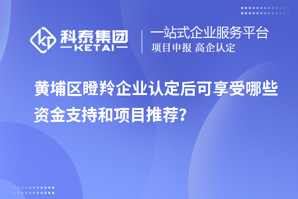 黃埔區(qū)瞪羚企業(yè)認定后可享受哪些資金支持和項目推薦？