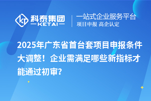 2025年廣東省首臺套項目申報條件大調整！企業(yè)需滿足哪些新指標才能通過初審？