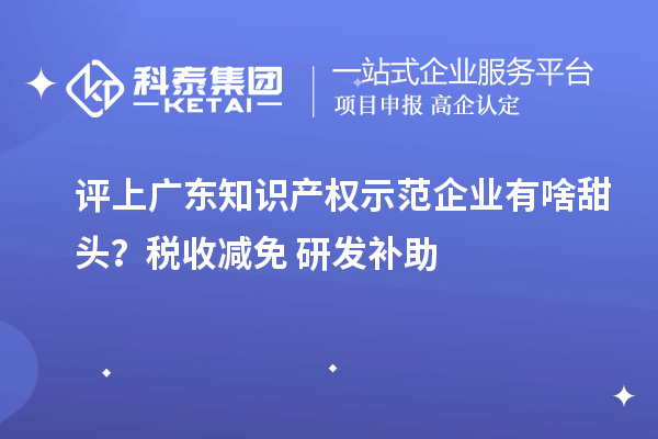 評上廣東知識產(chǎn)權(quán)示范企業(yè)有啥甜頭？稅收減免+研發(fā)補助