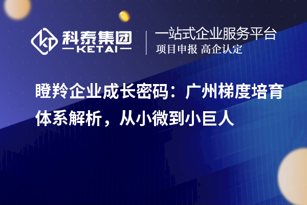 瞪羚企業(yè)成長密碼：廣州梯度培育體系解析，從小微到小巨人
