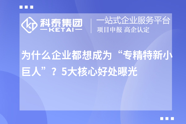 為什么企業(yè)都想成為“專(zhuān)精特新小巨人”？5大核心好處曝光