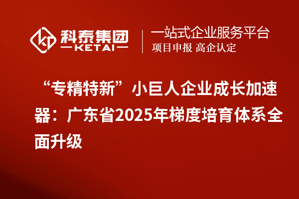 “專精特新”小巨人企業(yè)成長(zhǎng)加速器：廣東省2025年梯度培育體系全面升級(jí)